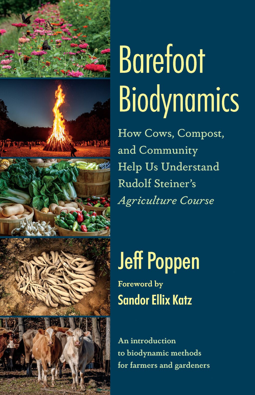 The Barefoot Biodynamics cover