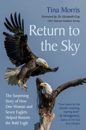 The Return to the Sky cover