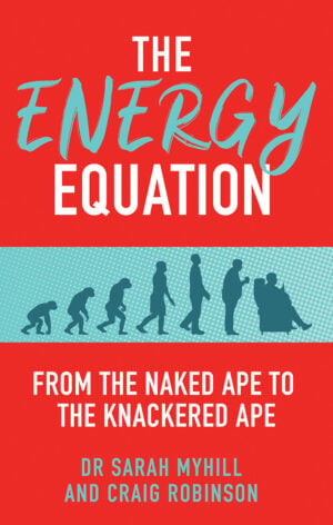 The Energy Equation cover