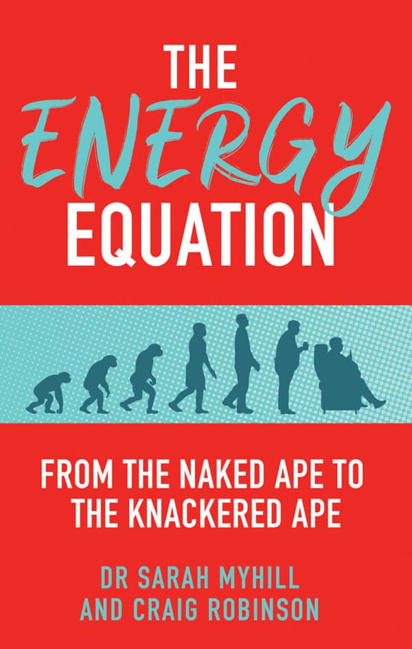 The Energy Equation 24.95 Chelsea Green Publishing