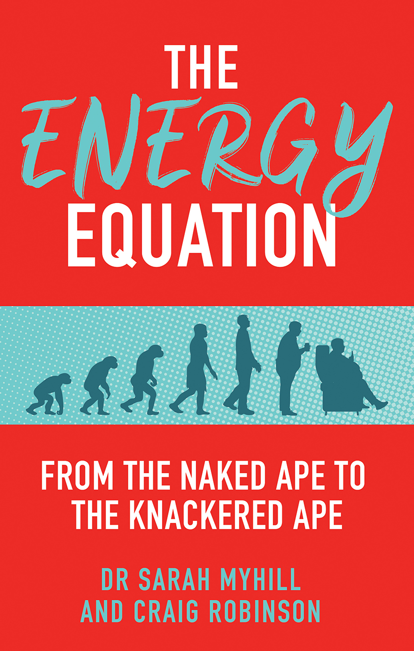 The Energy Equation cover