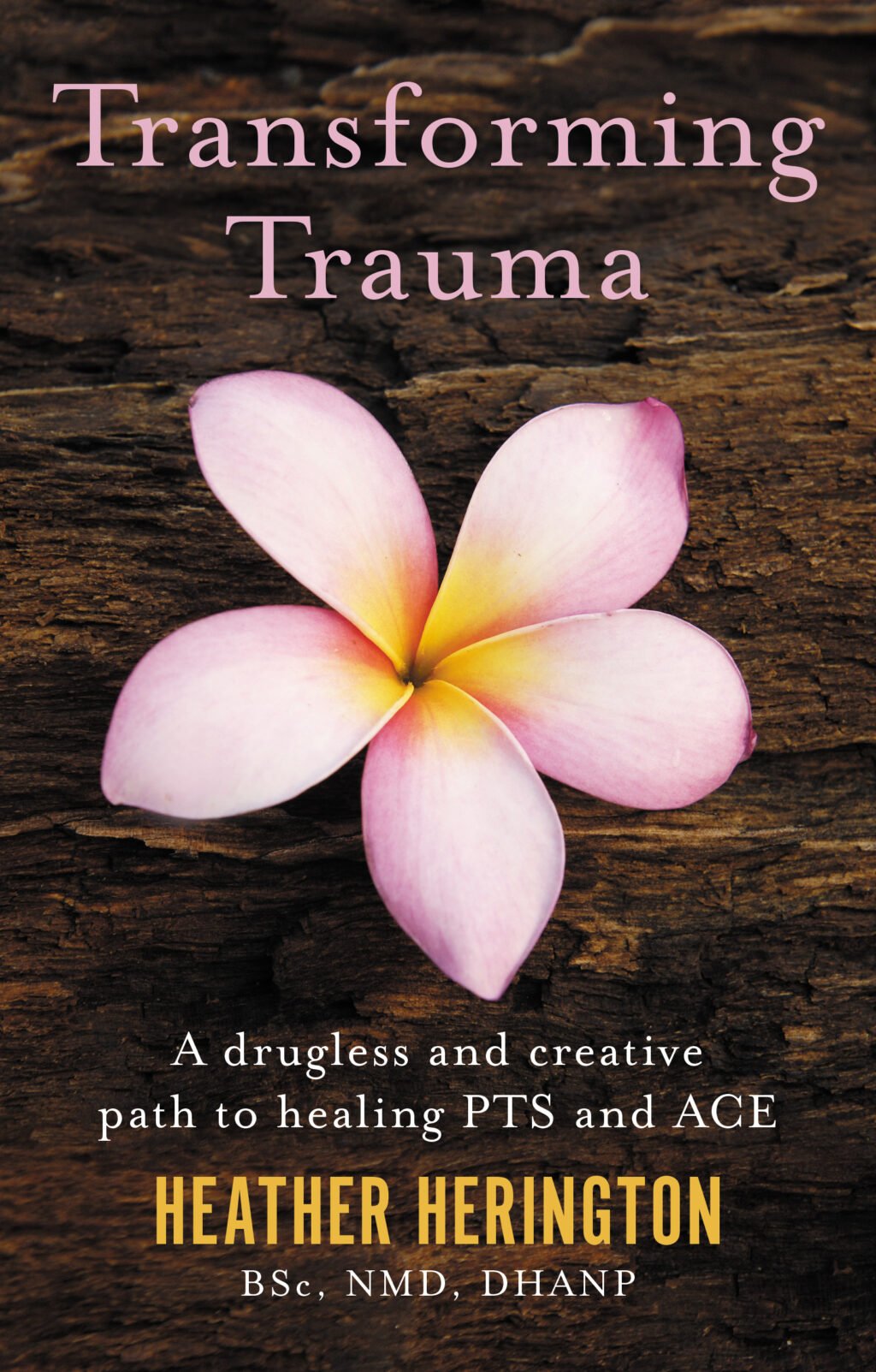 The Transforming Trauma cover