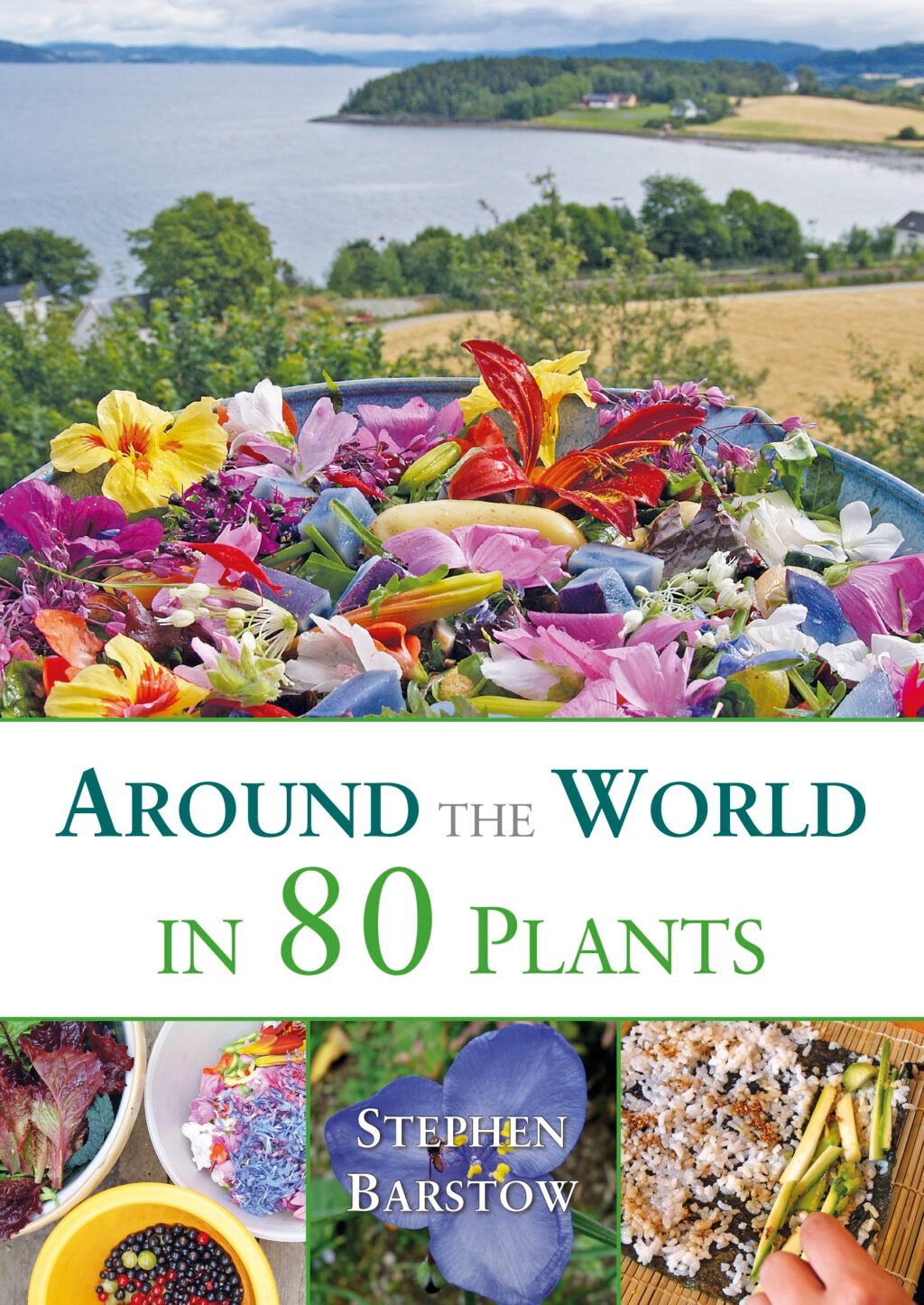 The Around The World in 80 Plants cover