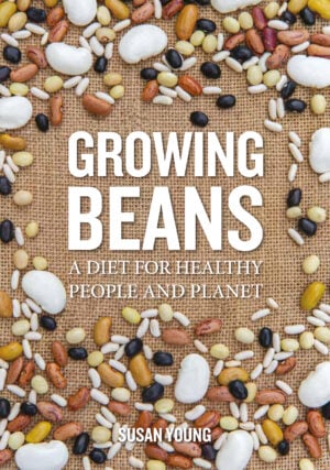 The Growing Beans cover