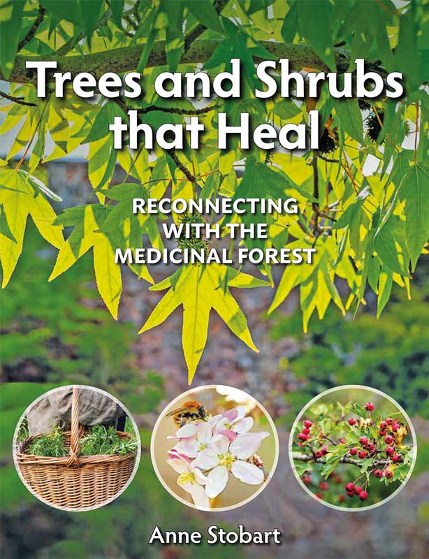The Trees and Shrubs that Heal cover