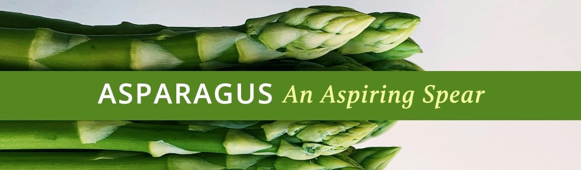 Banner of fresh asparagus with a green strip reading 'ASPARAGUS An Aspiring Spear'.