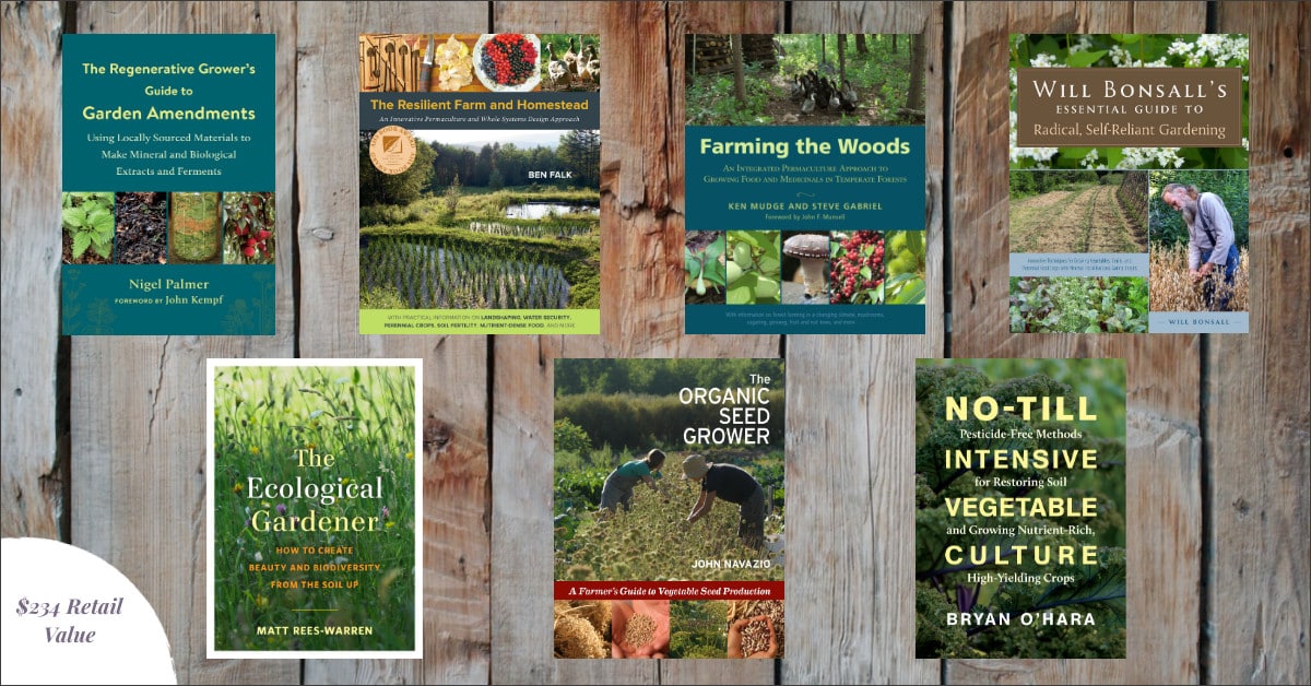 August 2021 Giveaway-High-Quality