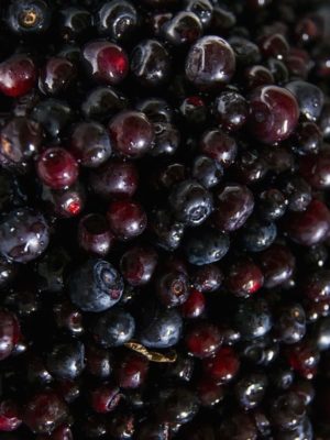 huckleberries