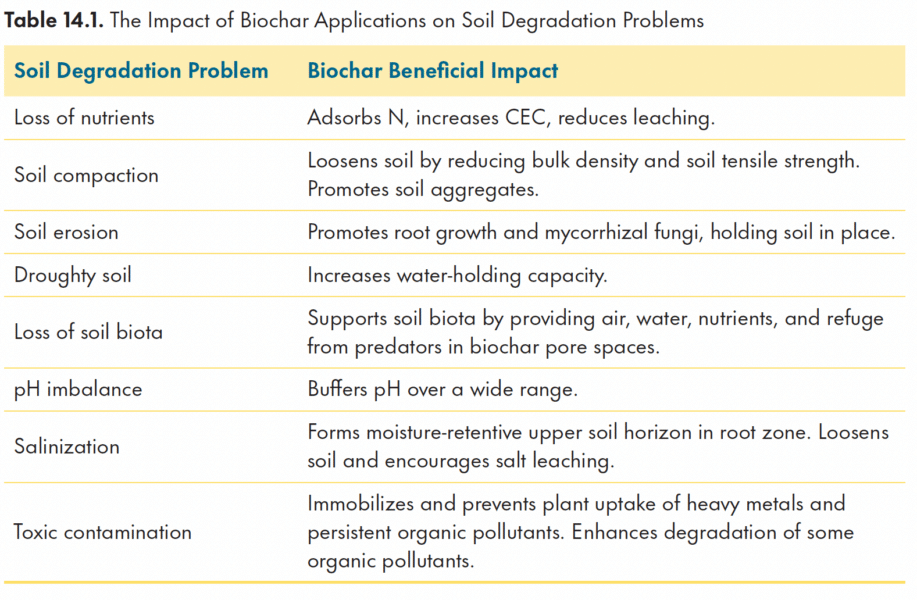 The Secrets of Fixing the Soil with Biochar