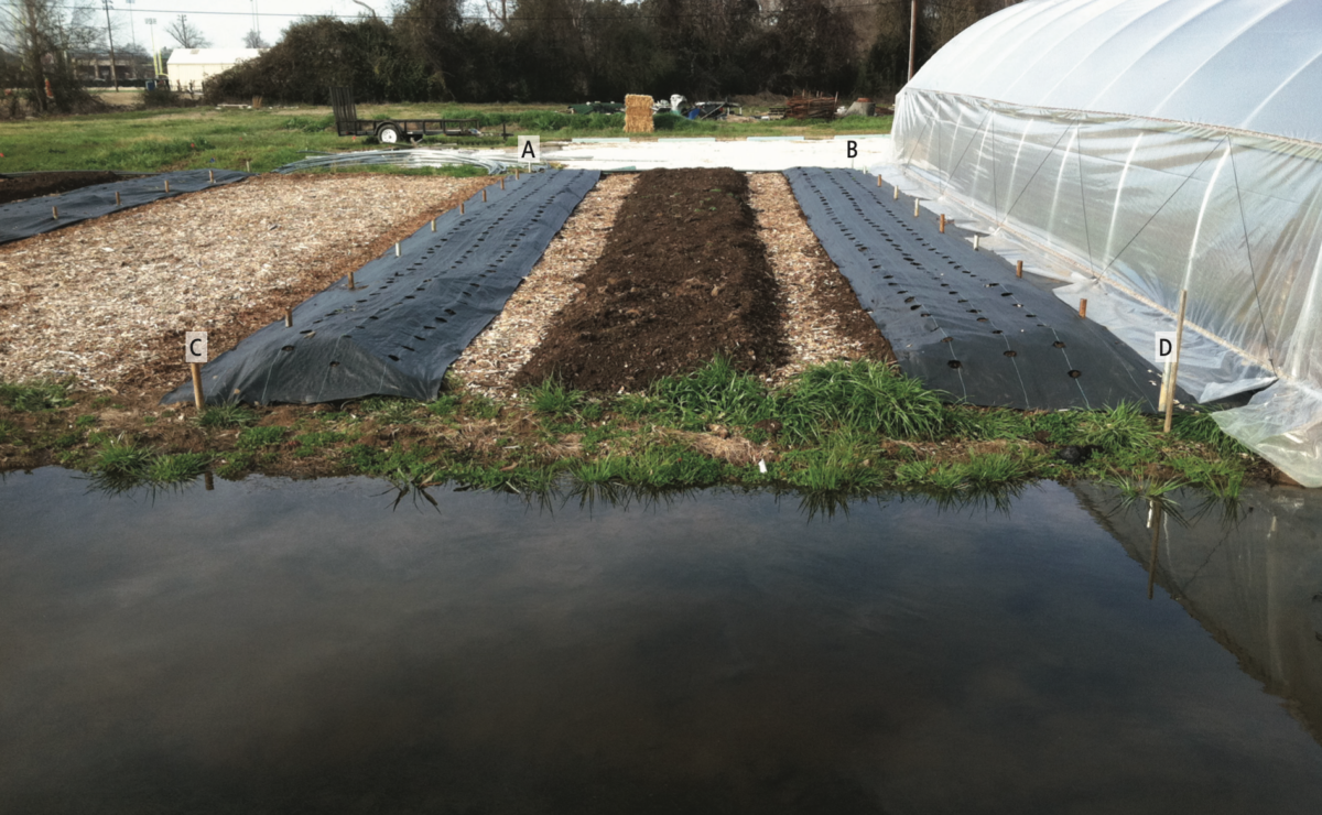 Not Level? No Problem. How to Build a Greenhouse on a Slope Chelsea Green Publishing