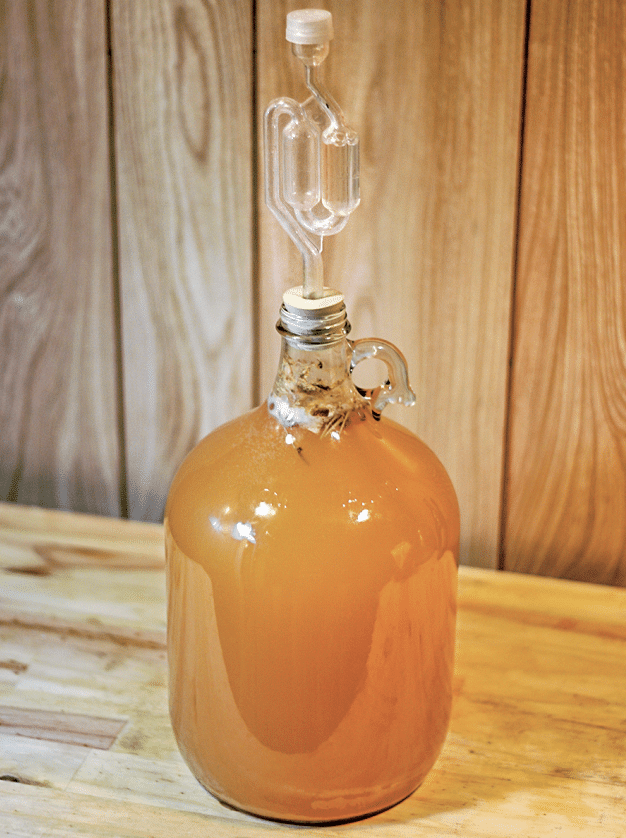 Glass carboy filled with amber fermenting liquid on a wooden table, topped with an airlock.