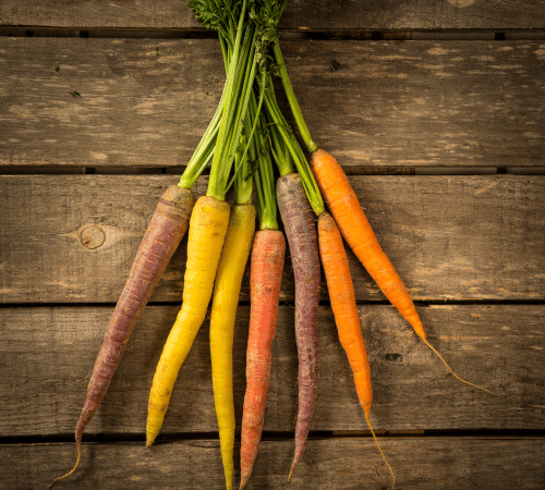 Bunch of orange, yellow, purple, and pink carrots with green tops on a rustic wooden table.