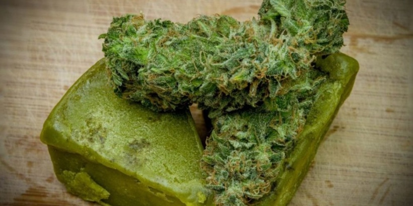 Recipe Extracting Cannabis Into Oil Or Butter Chelsea Green Publishing