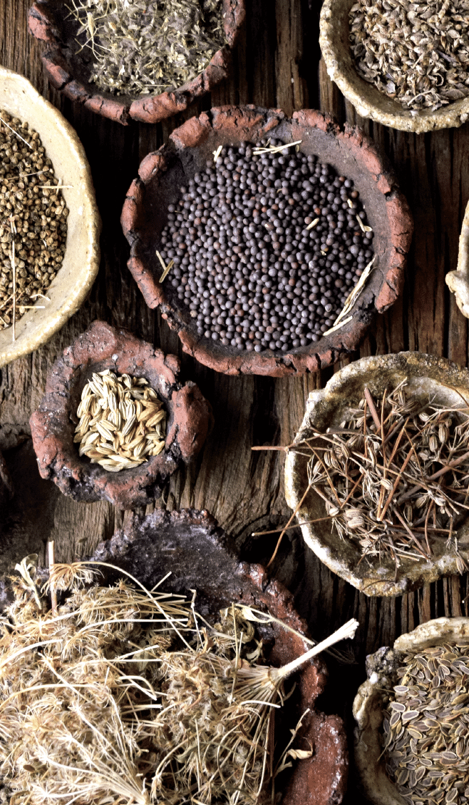 Wild Seeds as Spices: Lemon Dill Weed Seasoning | Chelsea Green