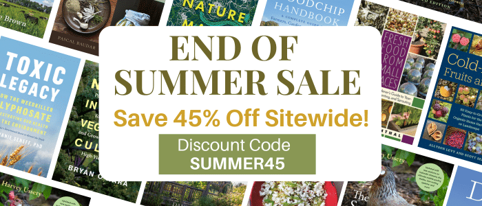 END FO SUMMER SALE 2025