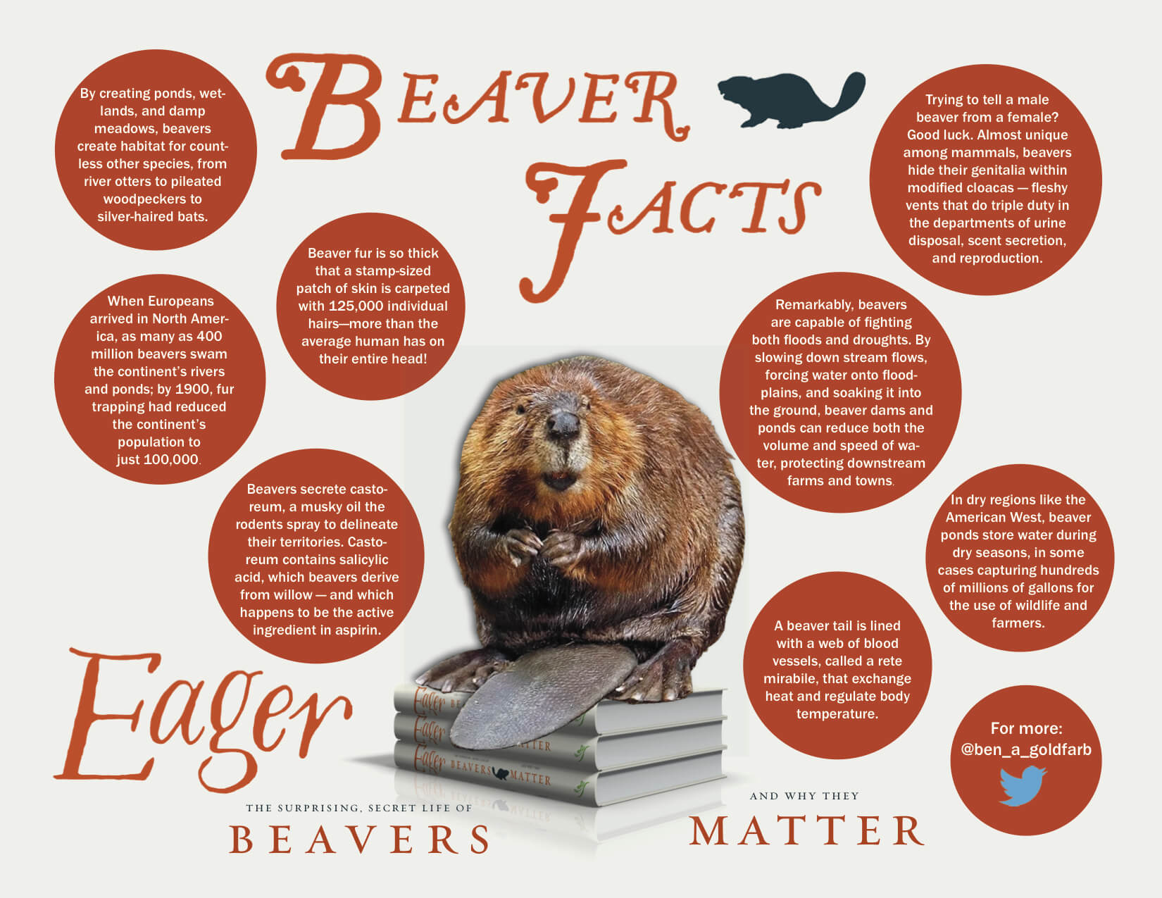 beaver facts