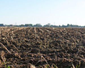 soil on farm