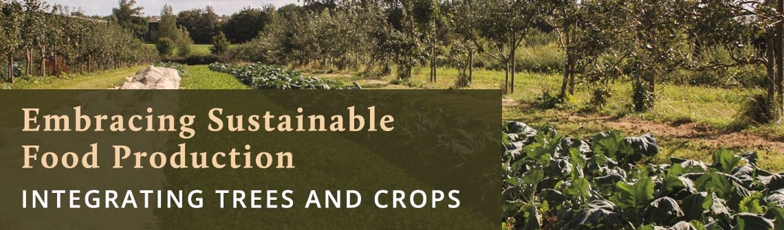 Fields of leafy crops beside trees with a brown caption overlay showing the title 'Embracing Sustainable Food Production: Integrating Trees and Crops'
