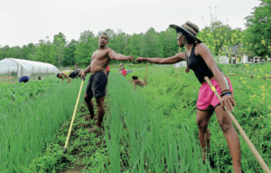 land - Participants in Soul Fire Farm's Black Latinx Farmers Immersion exchange a fist pump while tending to the onions