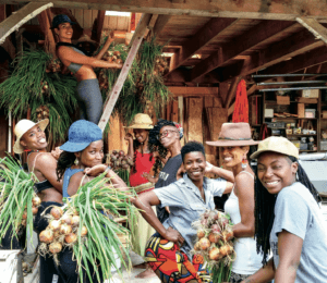 land - Participants in Soul Fire Farm's Black Latinx Farmers Immersion hang onions to cure in the barn