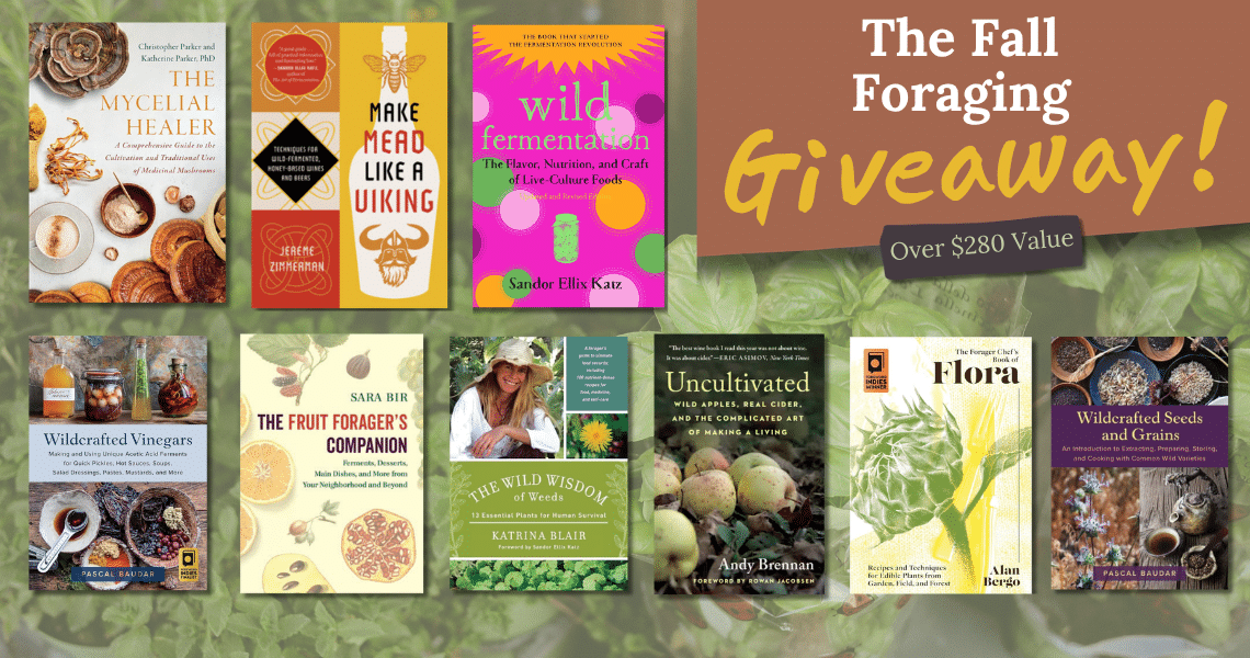 A collage of book covers on a leafy background, centered by a large brown banner reading 'The Fall Giveaway!' with yellow script saying 'Giveaway' and 'Over 0 Value' on a dark tag.