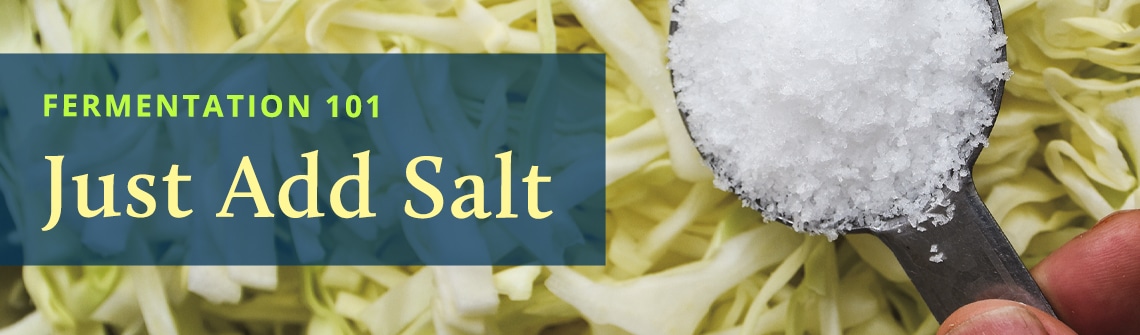 Fermentation101JustAddSalt_blog_1140-335