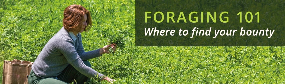 Woman kneeling in a lush green field, picking greens, with the title 'FORAGING 101—Where to find your bounty' overlaid above her.