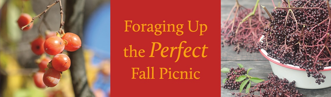 ForagingFallPicinic_blog_homepage