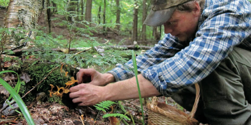 man foraging