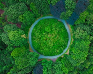 Bird's eye view of a forest with a circle river