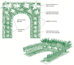 U-Shaped Forest Garden