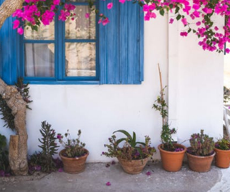 Garden wall