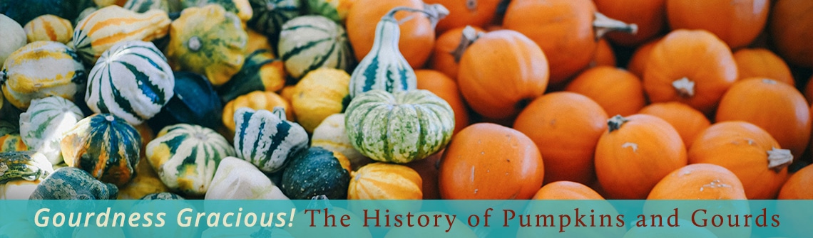 Pile of orange pumpkins and striped gourds with a teal banner reading 'Gourdness Gracious! The History of Pumpkins and Gourds'.