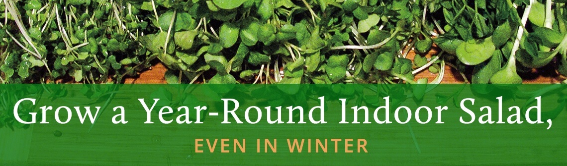 Indoor Salad Banner