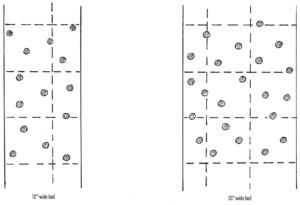 Raspberry Cane Density