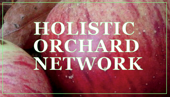 Holistic_bespoke_banner2 copy