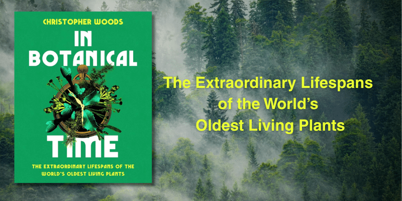 Book cover reads 'In Botanical Time' by Christopher Woods, green cover with botanical illustration, set against a misty forest backdrop.