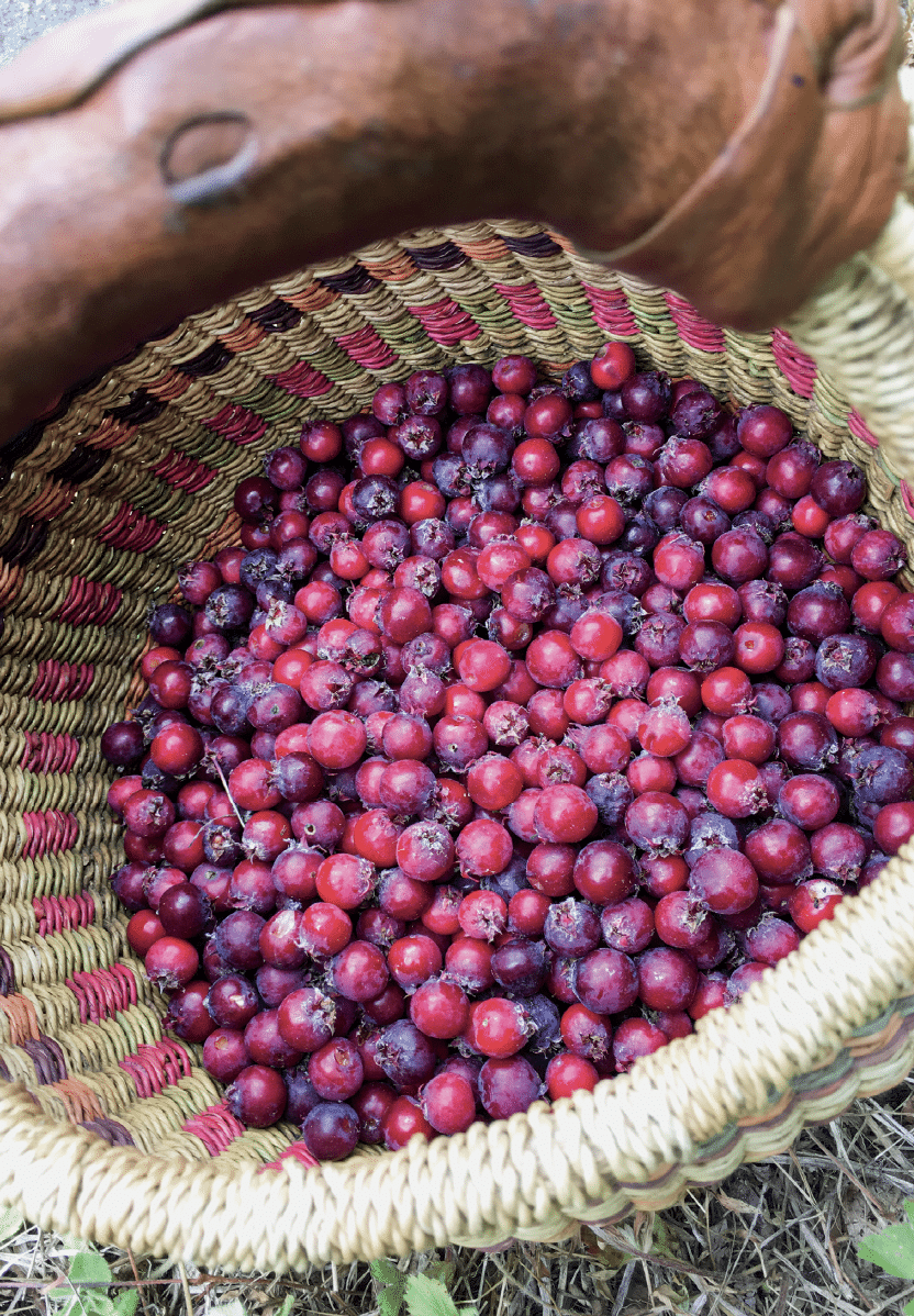 juneberry tie dye t shirt