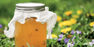 Jar of honey with a cloth-covered lid resting among grass and colorful garden flowers.