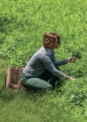 foraging Photo by Vincent Mounier