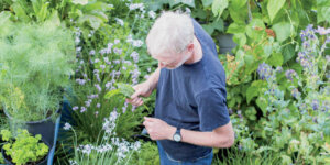 Mark container gardening