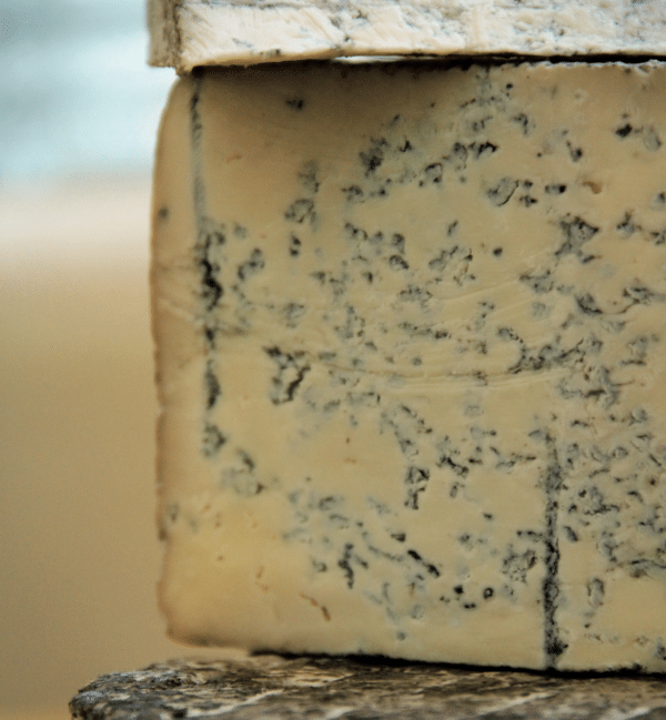 How To Make Blue Cheese Chelsea Green Publishing
