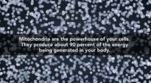 Mitochondria Image with Stats