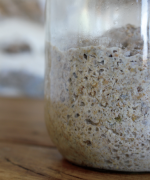 Sourdough Starter