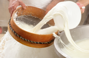 making mozzarella