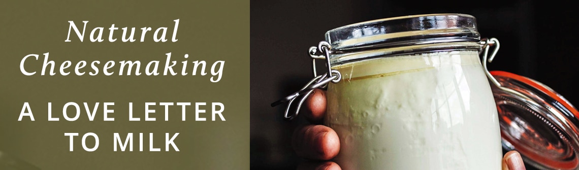 Banner promoting natural cheesemaking with the title 'A Love Letter to Milk' beside a hand holding a mason jar of milk on the right in a dark background.