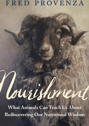 Nourishment Cover