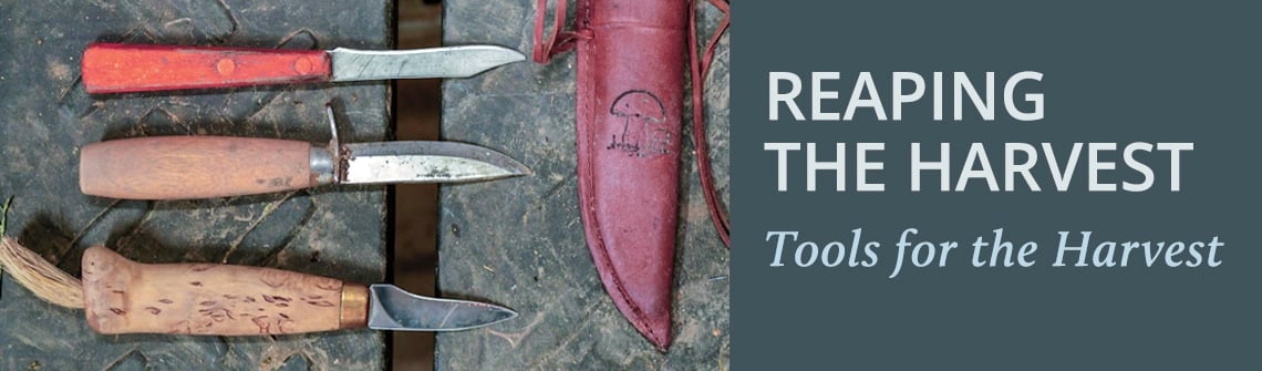 Book cover: 'Reaping the Harvest — Tools for the Harvest' with four knives on a wooden bench beside a red sheath on the right.