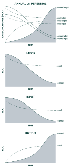 Annuals VS Perennials