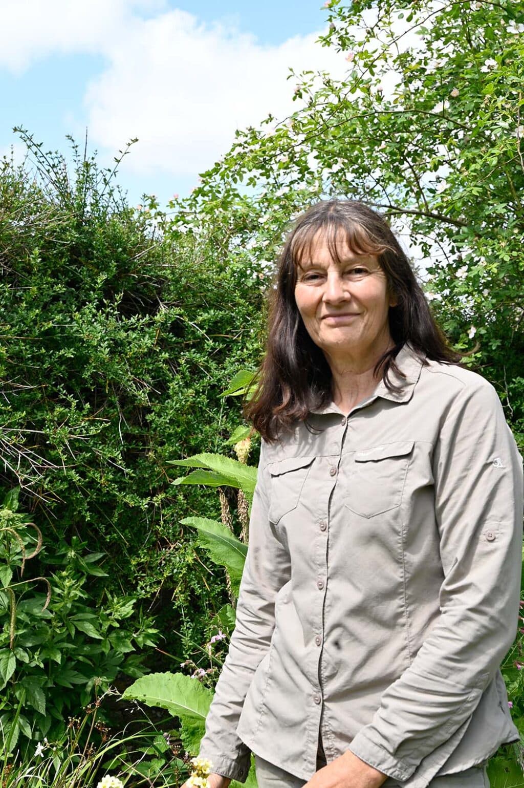 Books by Sally Buy Direct from the Publisher Chelsea Green